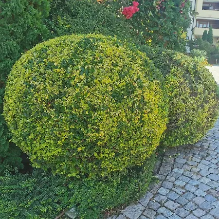 Garden Of Eden Panorama * סבטי ולאס