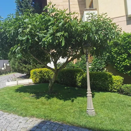 Garden Of Eden Panorama סבטי ולאס